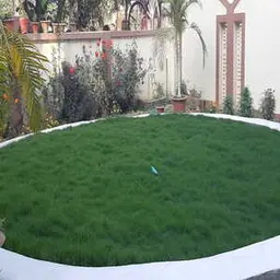 lawn maintenance services