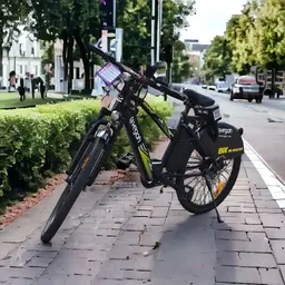 Smart Eletcric bike