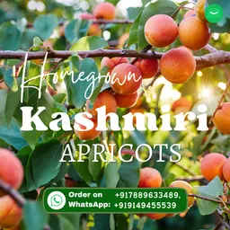 Kashmiri Dried Apricots