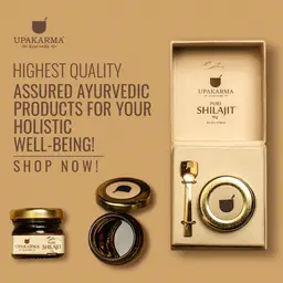 Pure Shilajit Resin Form