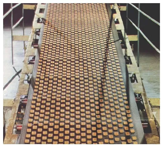 ‍Parle G biscuits