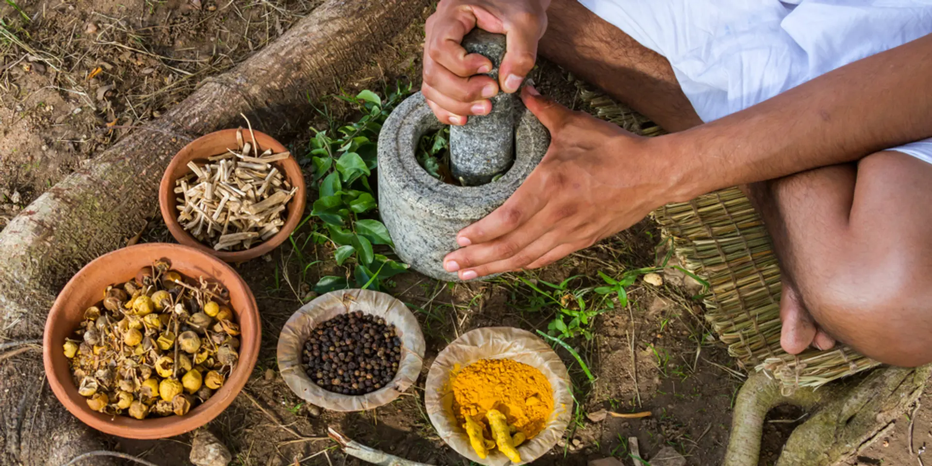 Ministry of AYUSH inaugurates National Entrepreneurship Seminar on Ayurveda in New Delhi