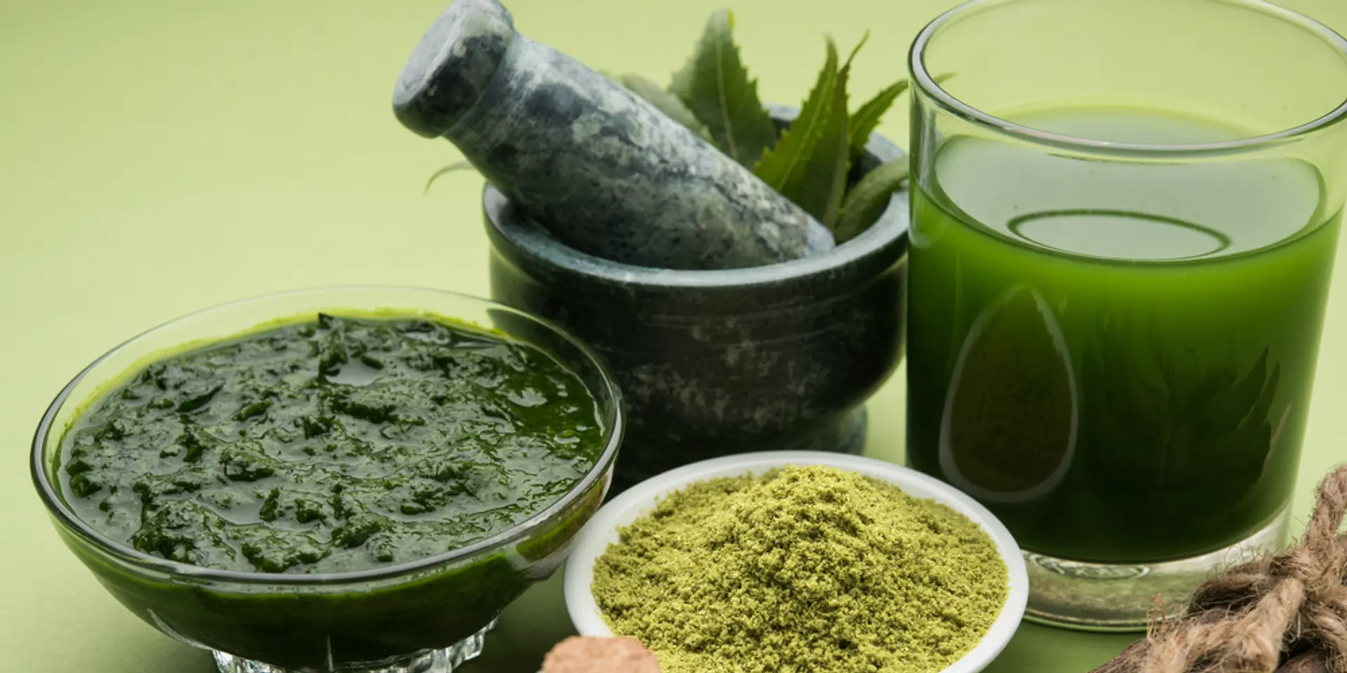Seminar on neem and Neem Trade Fair in B’lore to promote sustainable development