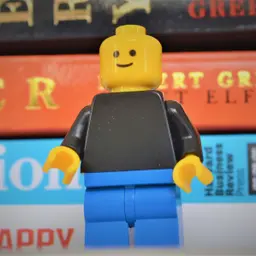 Photo of Lego Preneur