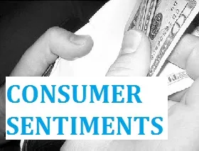 Understanding consumer sentiments - Preetahm V V