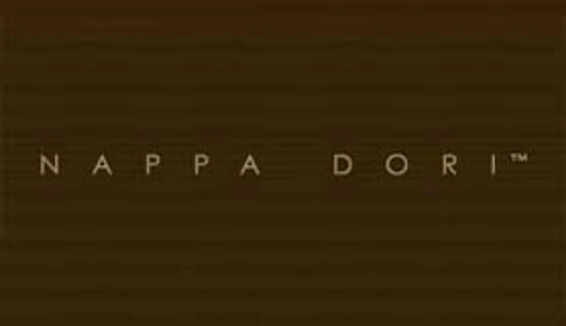 Nappa Dori: Delhi Based Fashion Brand Inspired by Leather andThread!