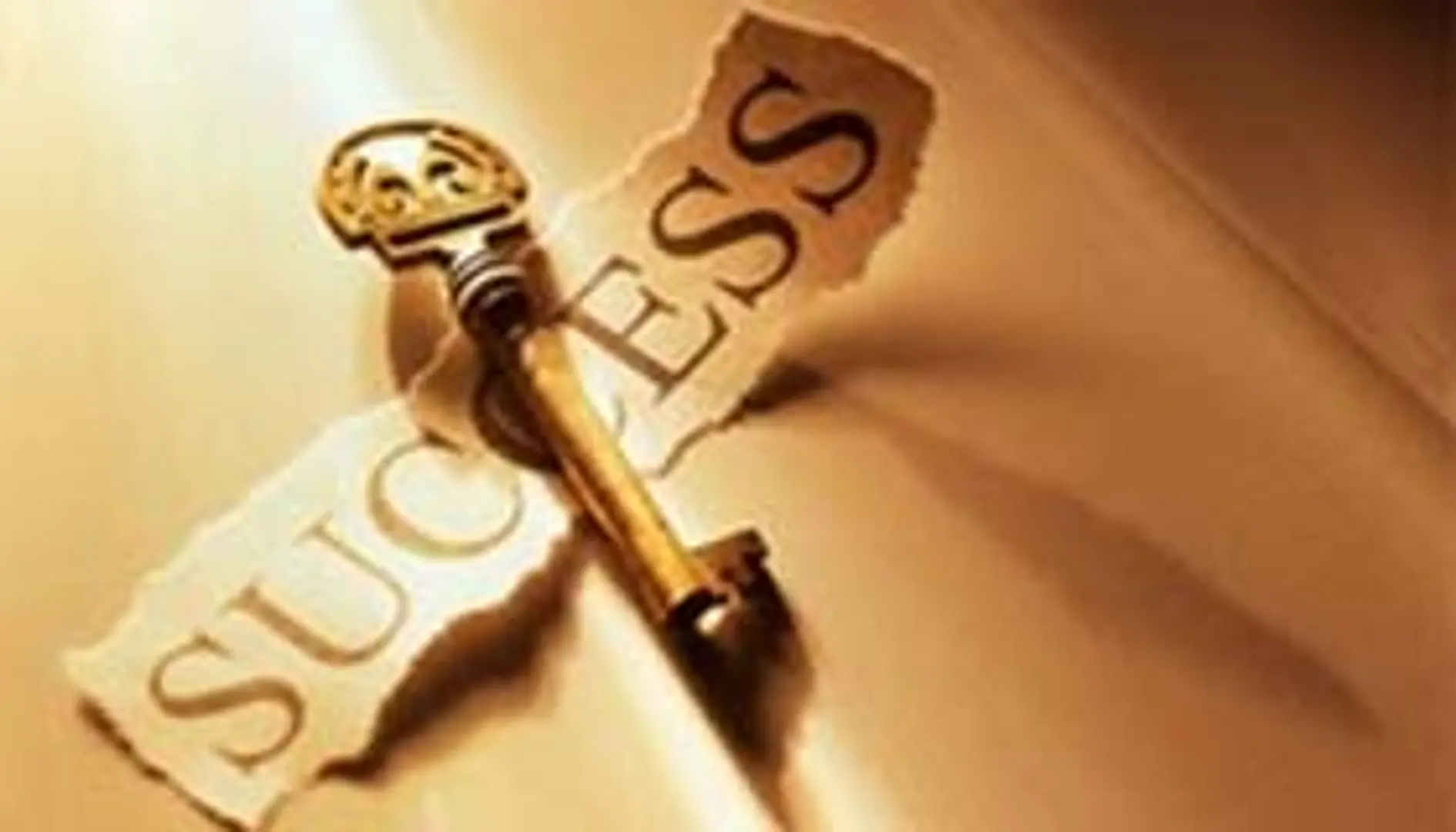Five success principles for aspiring entrepreneurs: learnings from Prof. Saras Saraswathy