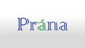 Prana Technologies: Specialists in ERP Implementation and MobileApplication Development