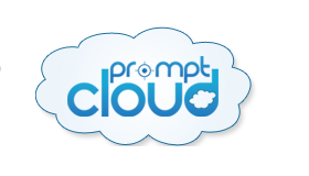 Customized Data Crawling and Cloud Computing Solutions from PromptCloud [DaaS Model]