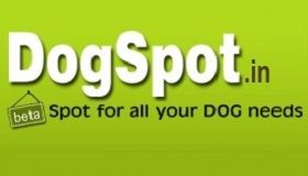 One Stop Shop For All Your Canine Needs: DogSpot.in