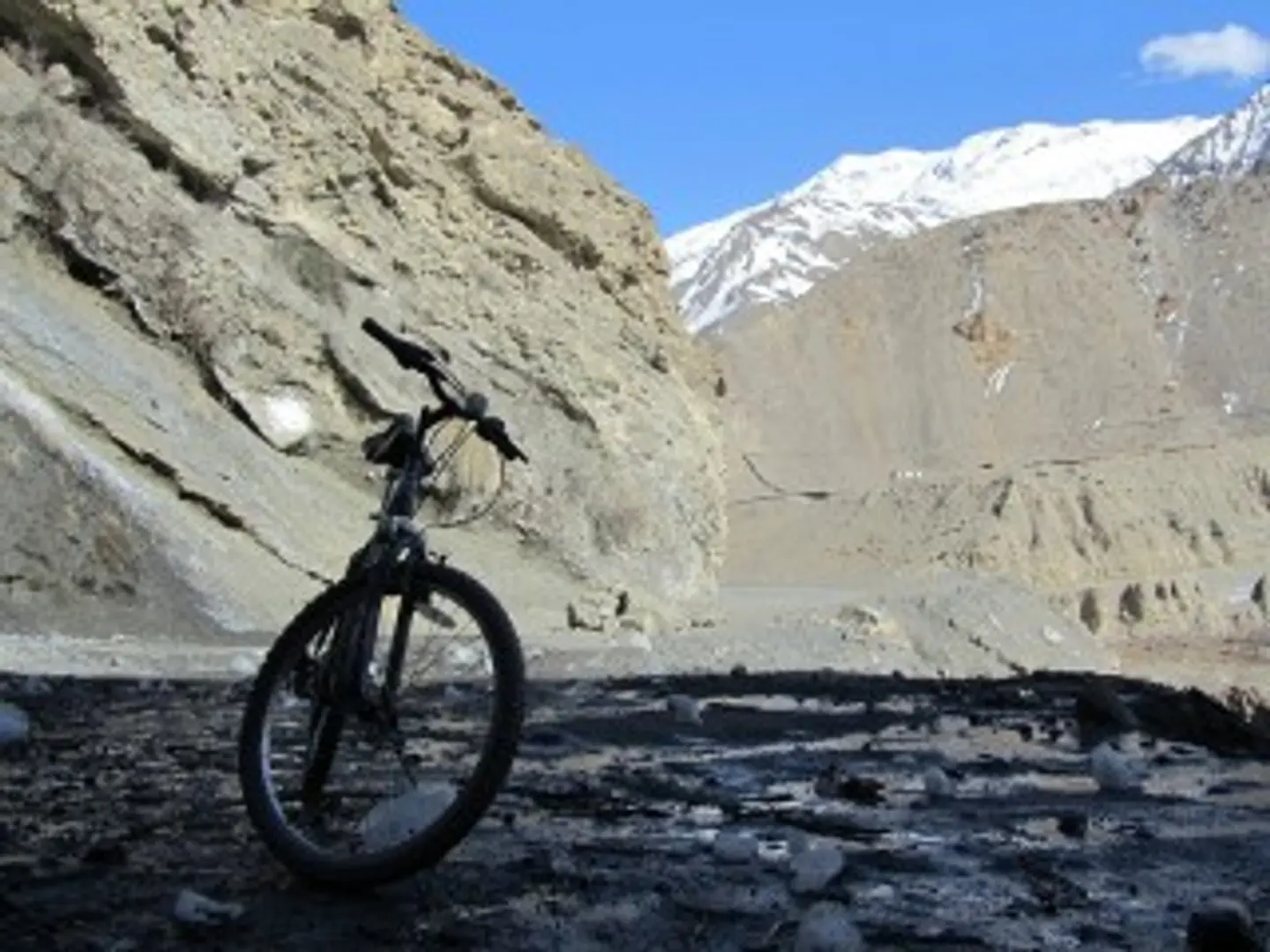 Elan Adventures: A Startup in the Online Adventure Trip Planning Space