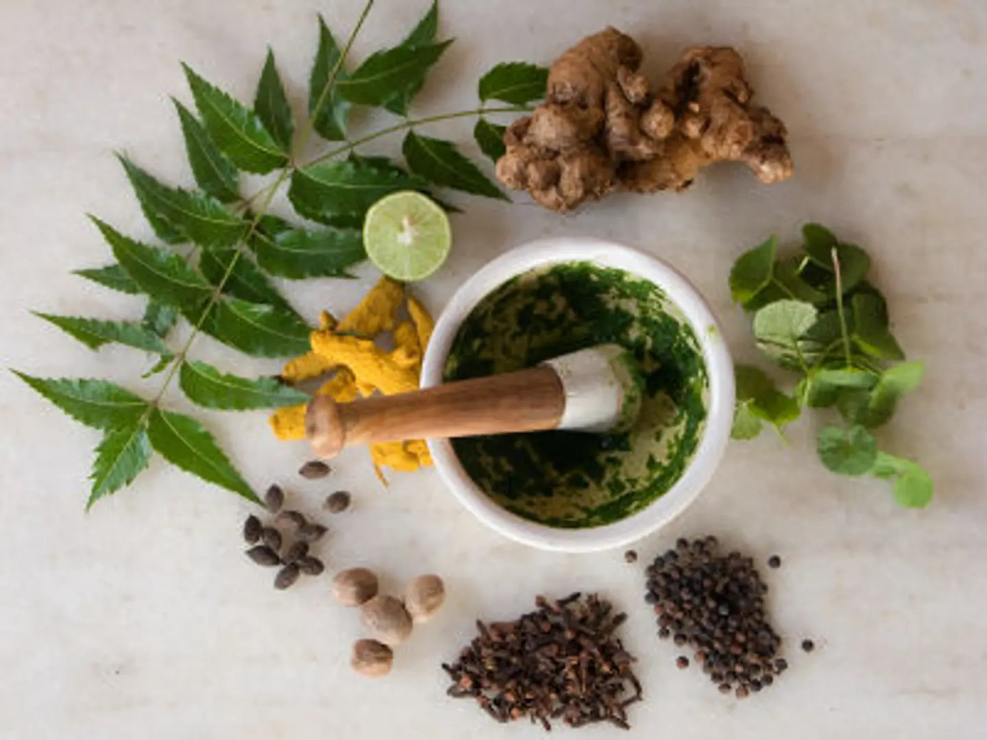 Ayurveda comes Online via a Times Group Initiative; Satvikshop Allows You Live the Natural Way