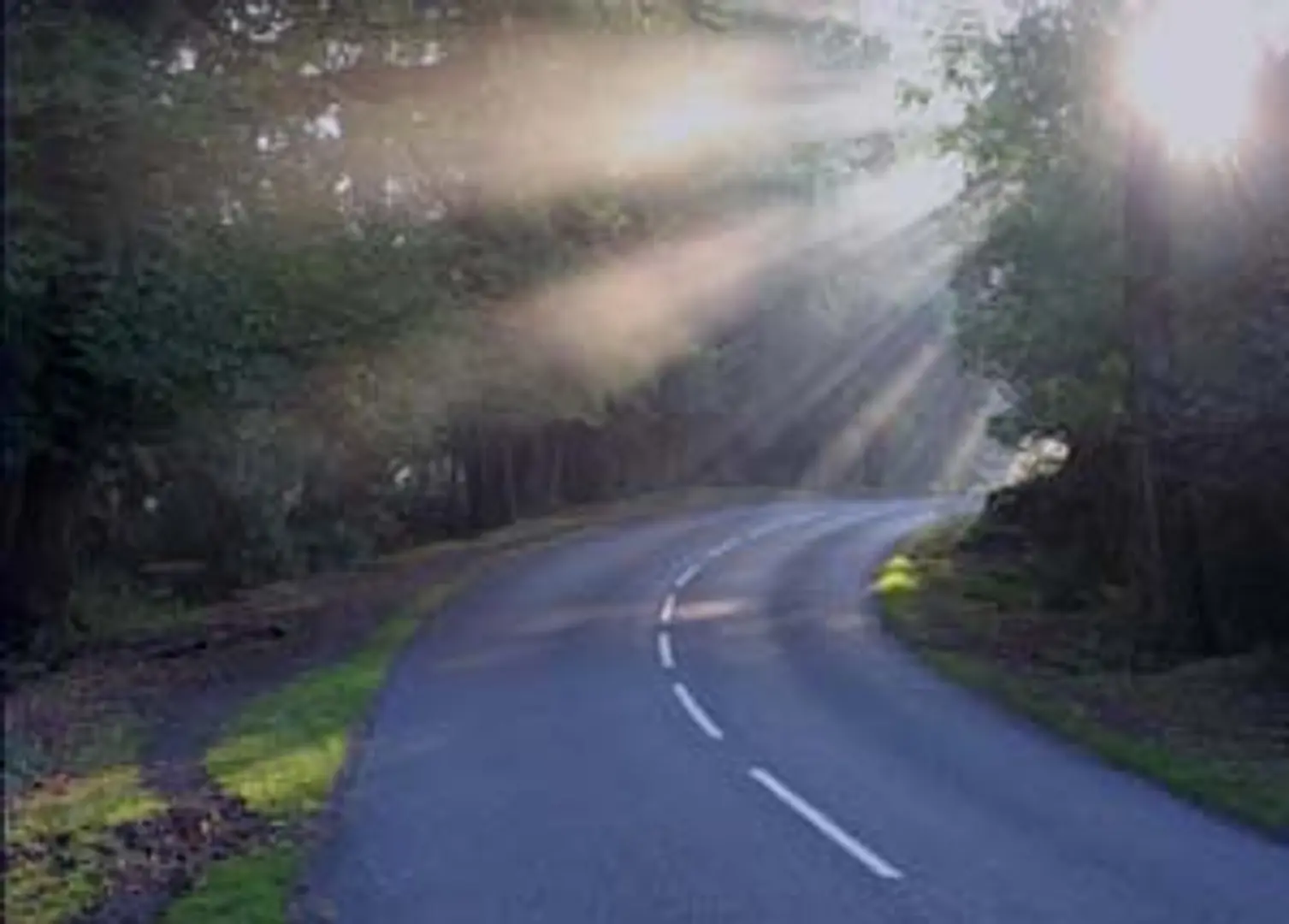 The Brave Road Of An Entrepreneur