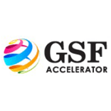 My 3 Weeks at The GSF Accelerator; The Structure and the Journey