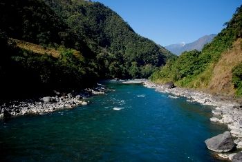 Assam Based Startup Greener Pastures Takes You for a Ride into the Luxuriant Greens of Northeast India