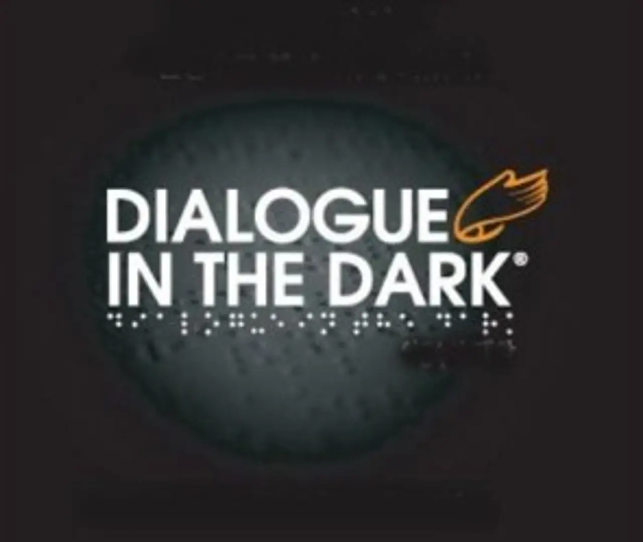 Have You Experienced a Dialogue in the Dark?