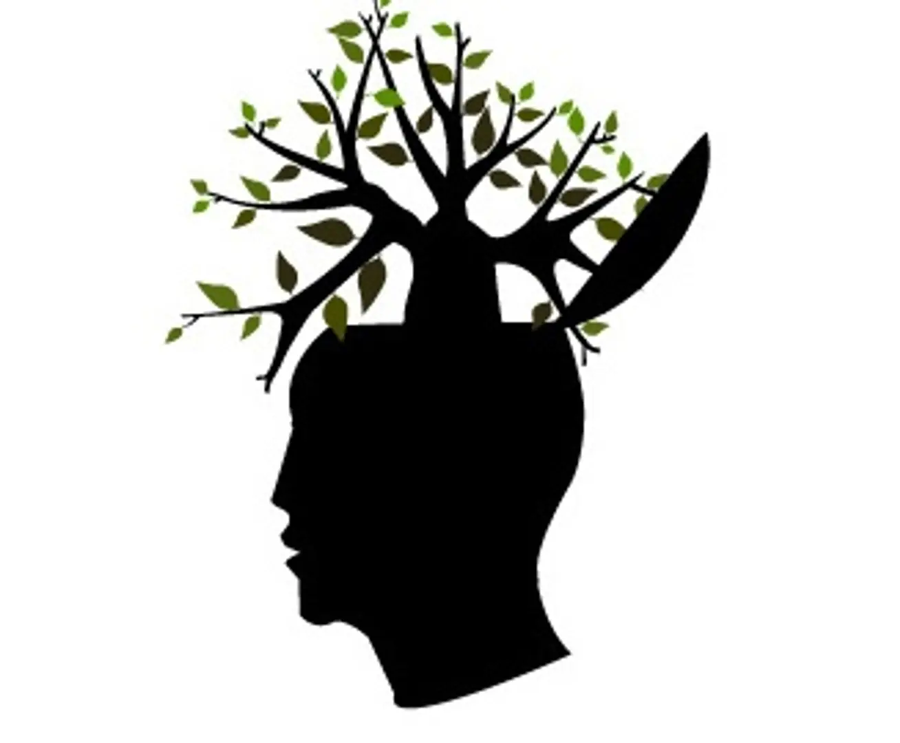 Picking the Brain of an Indian Investor- In Conversation with IQ Founder, Anand Lunia