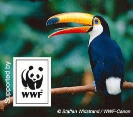 Ennovent and WWF Switzerland Announce Winners of the Tropical Forest Challenge