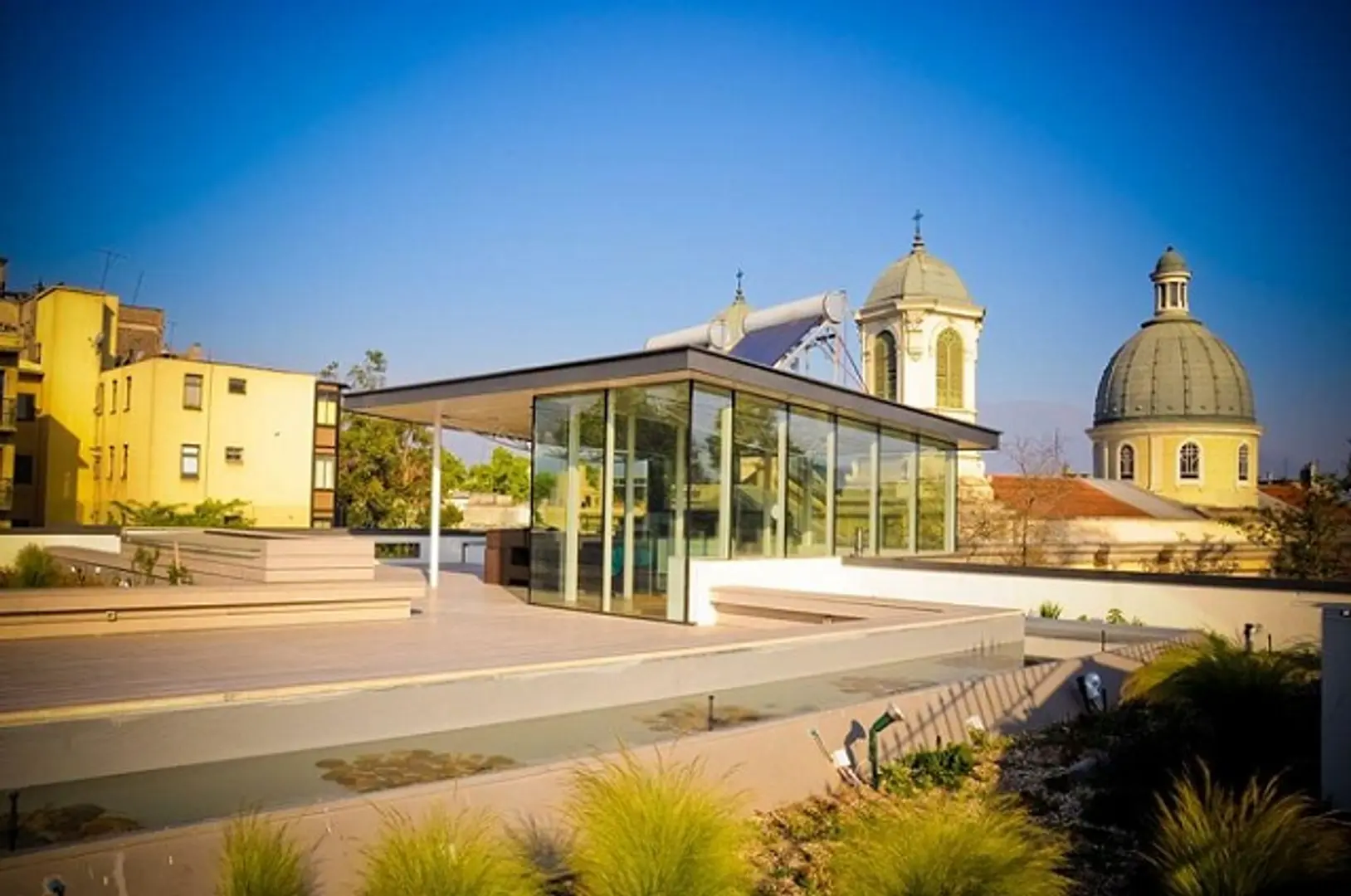 What Happens in Chile Doesn't Stay in Chile; The 'Startup Chile' Experience With Shreekant Pawar, Diabeto
