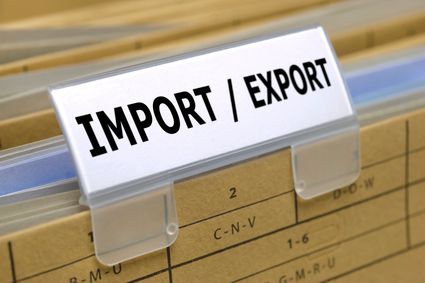 What is an Import Export Code and who needs it?