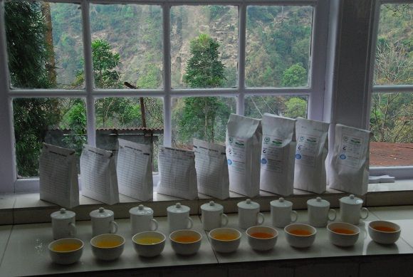 Mad about tea? Kaushal Dugar brings a variety of Darjeeling teas online