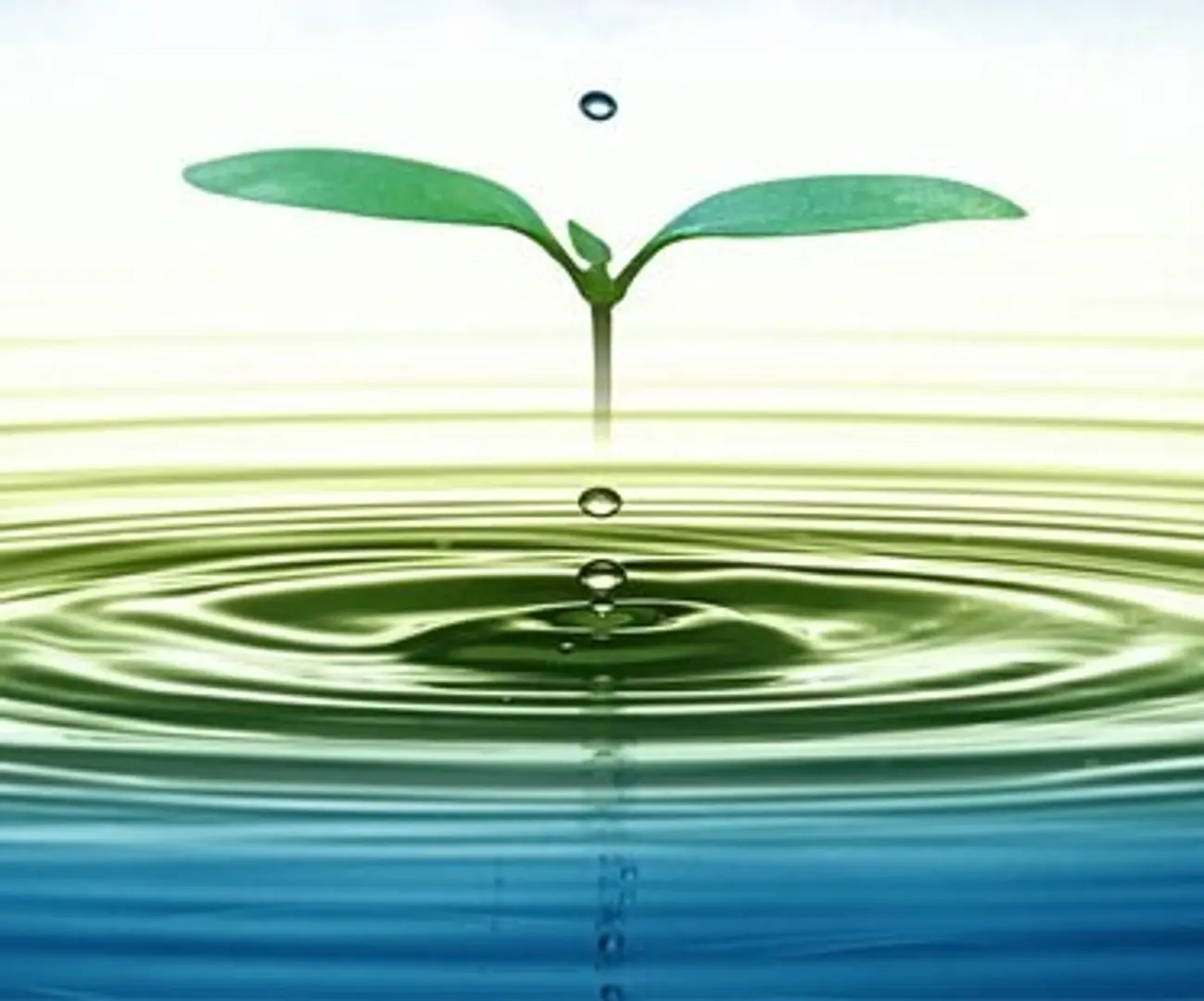 Spring Health: How Design Thinking Brought Clean Water to Rural India