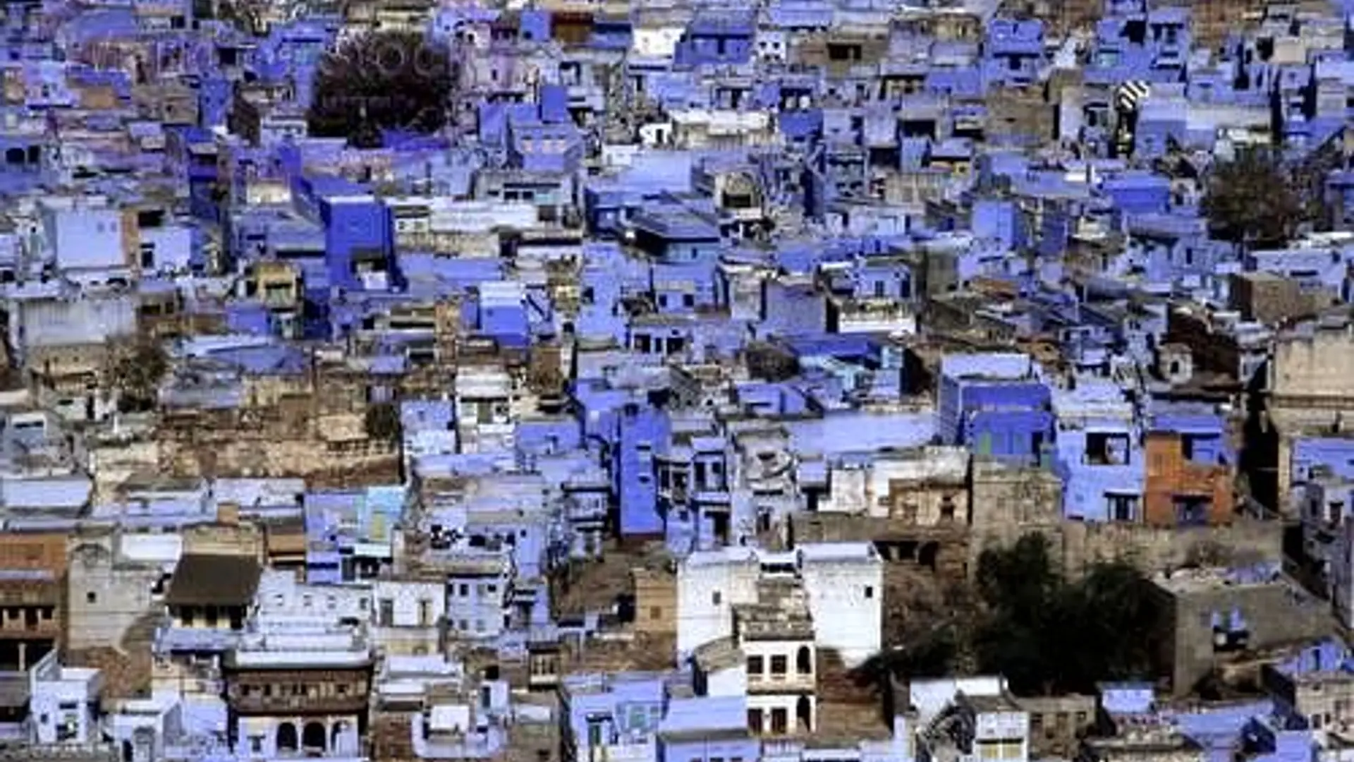 Betting on mobile, Rajasthan based cvbhejo.com is a recruitment platform for Tier 2/3 cities