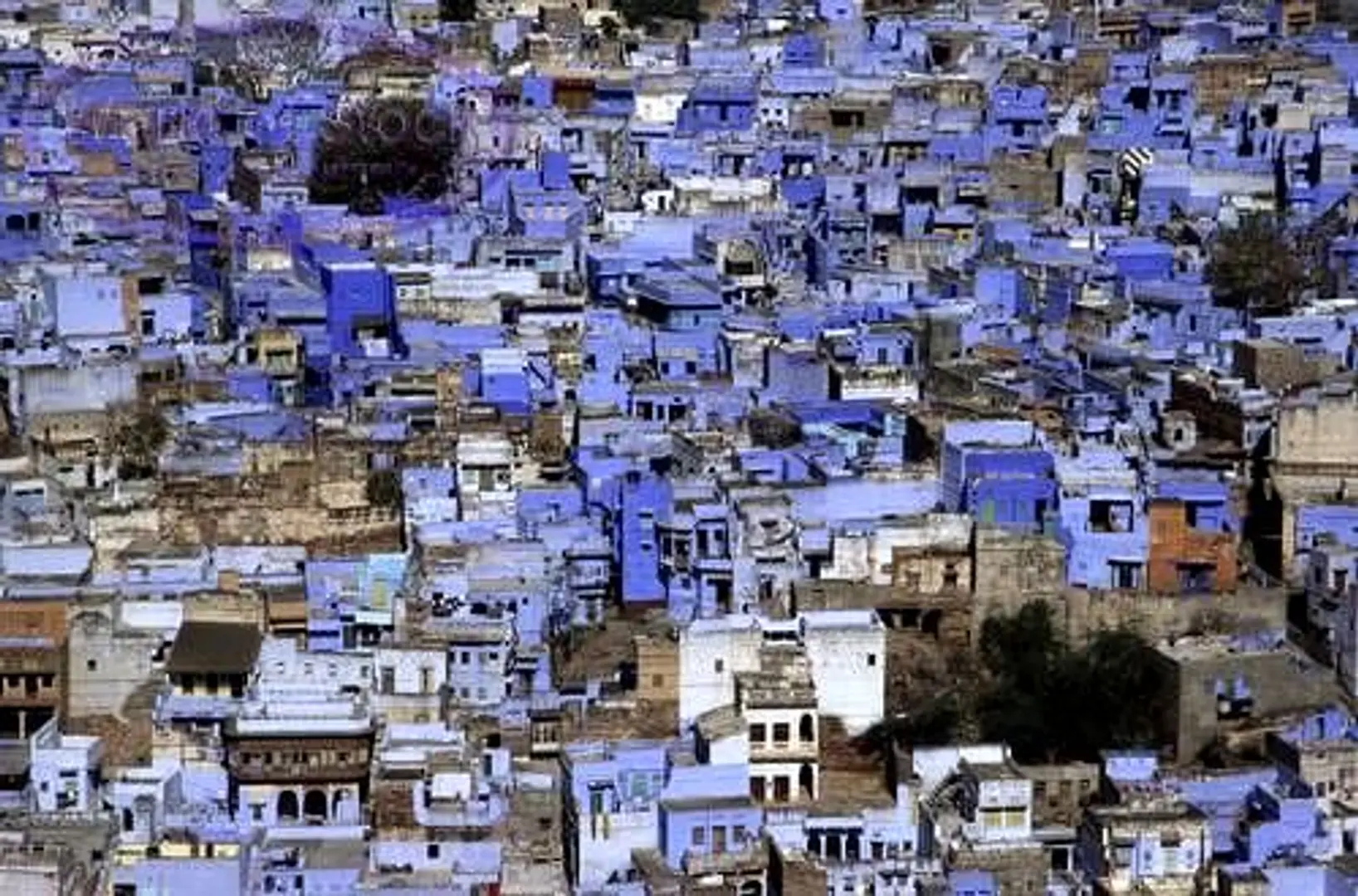 Betting on mobile, Rajasthan based cvbhejo.com is a recruitment platform for Tier 2/3 cities