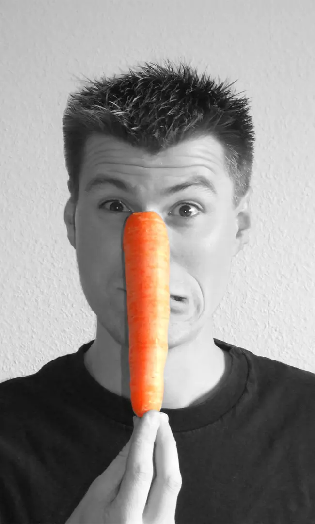 Carrots Are For Horses: 3 HR Rules For Managing Incentives at Startups