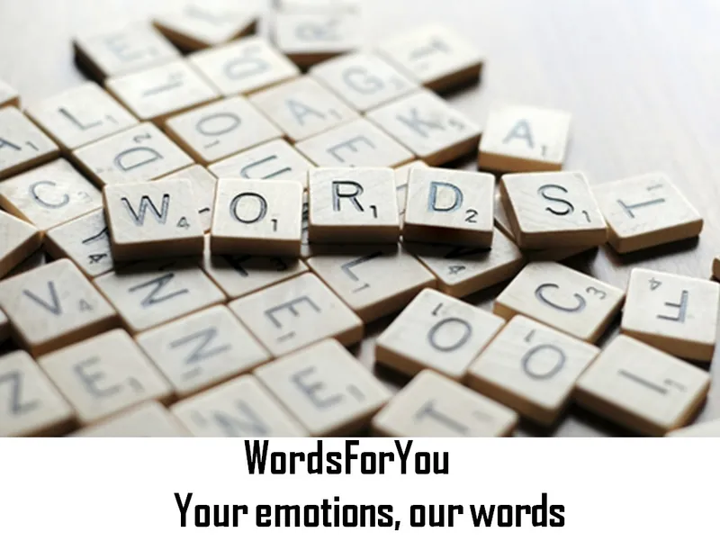 Your Emotions, Our Words