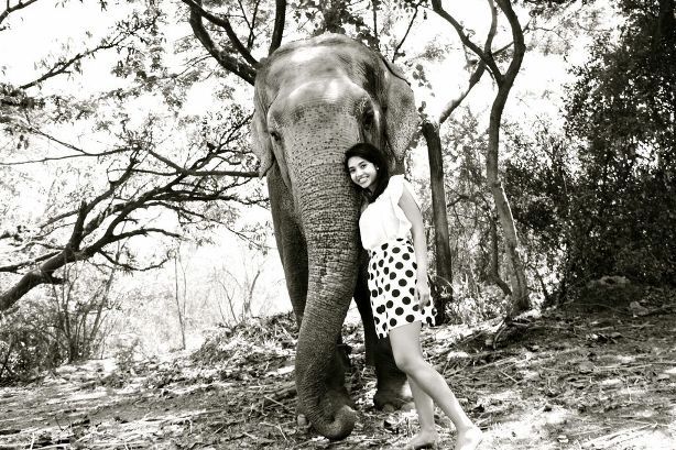 In the business of saving elephants – Sonia Agarwal’s Whitenife
