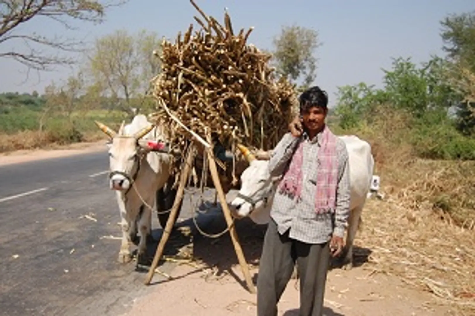 Mobile social entrepreneurs need to master alignment and alliance strategies