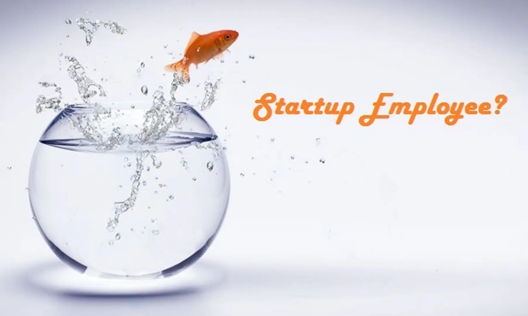 Being A Startup Employee.
