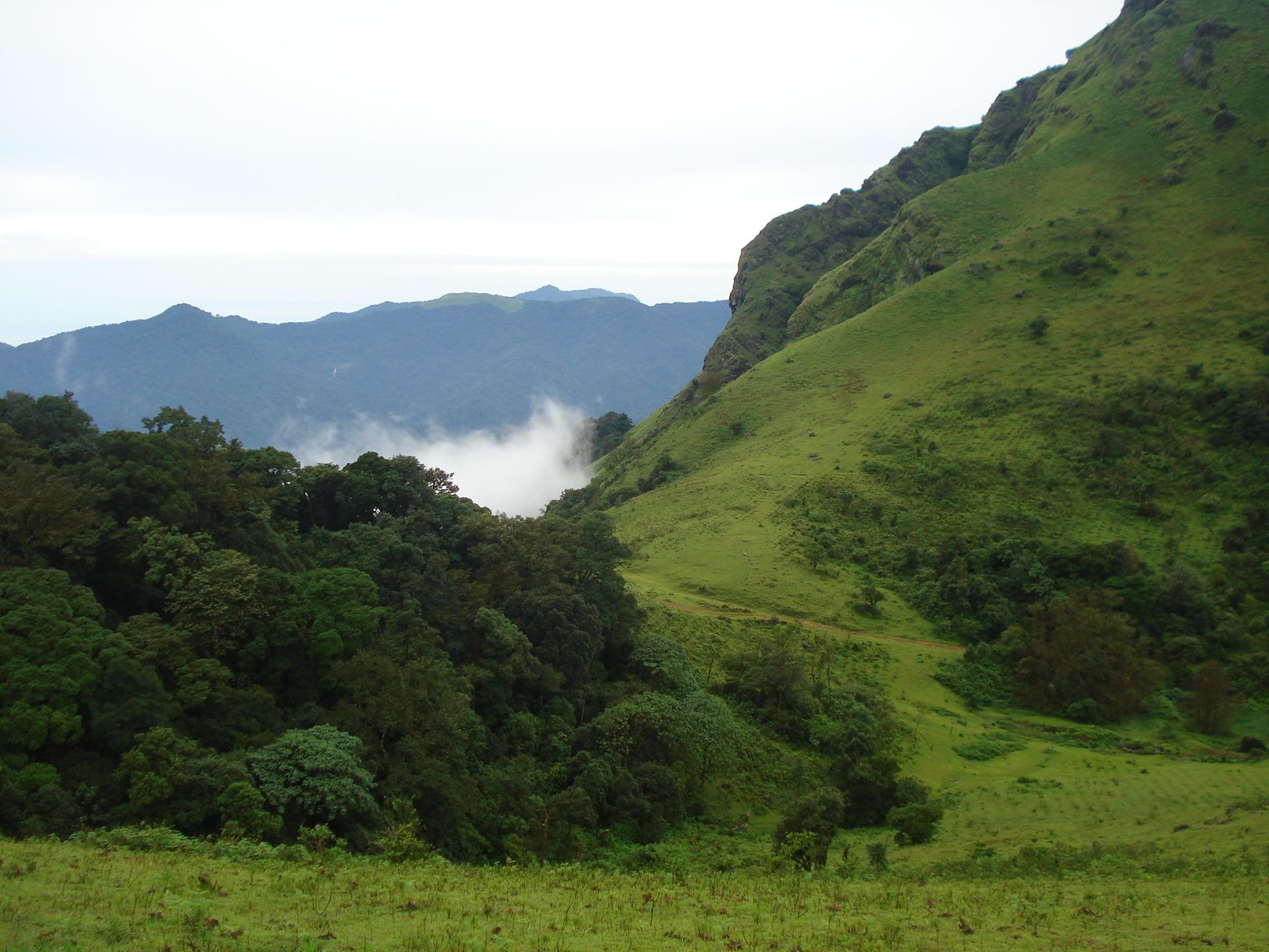 On the foot-hills of Karnataka a new way to save the environment through eco-travel and organic farming