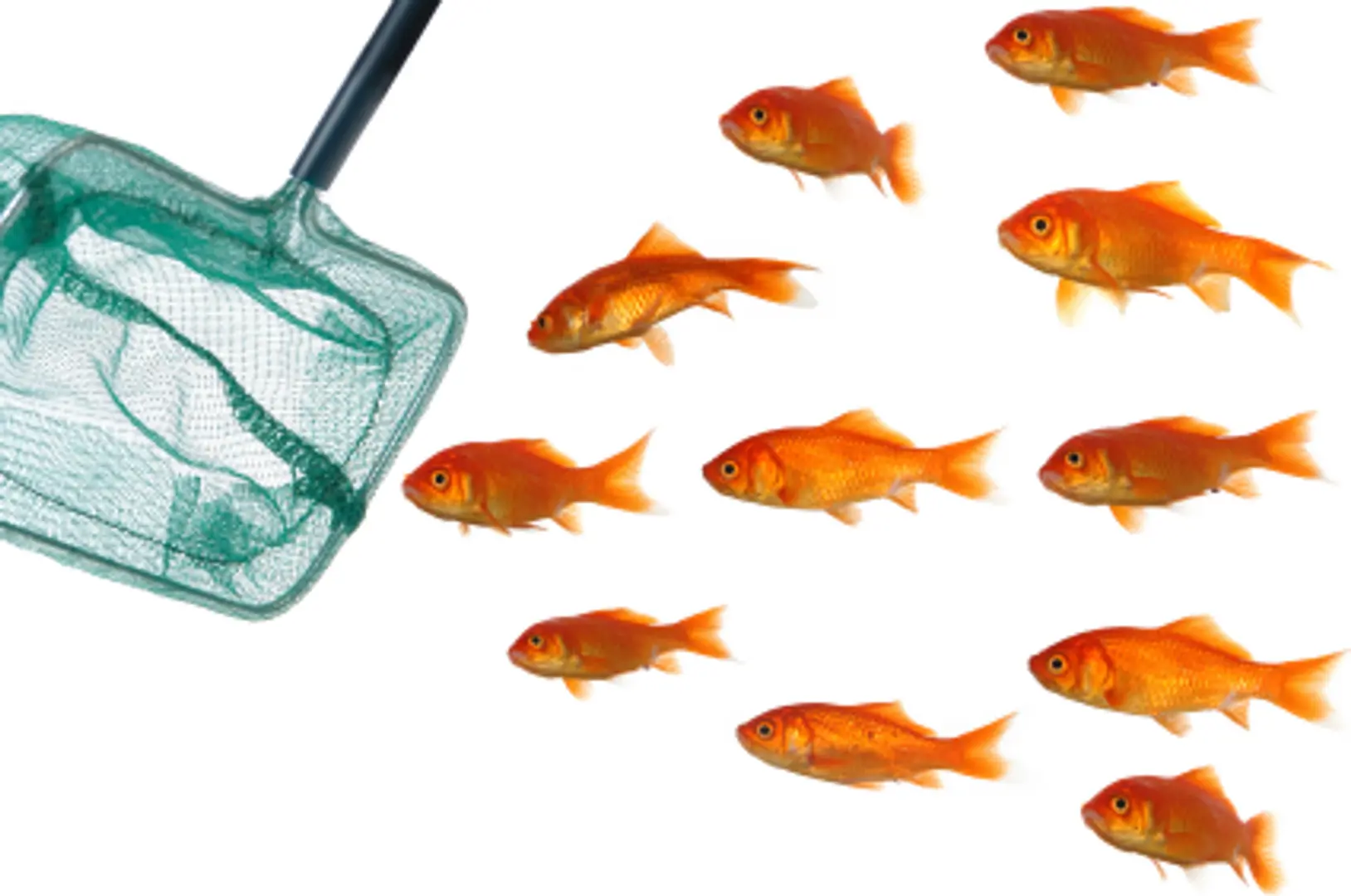 5 ways to get more customers without spending anything
