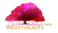NDTV’s online retail venture Indianroots targeted at Indian diaspora goes live, claims to deliver orders within 7-10 days
