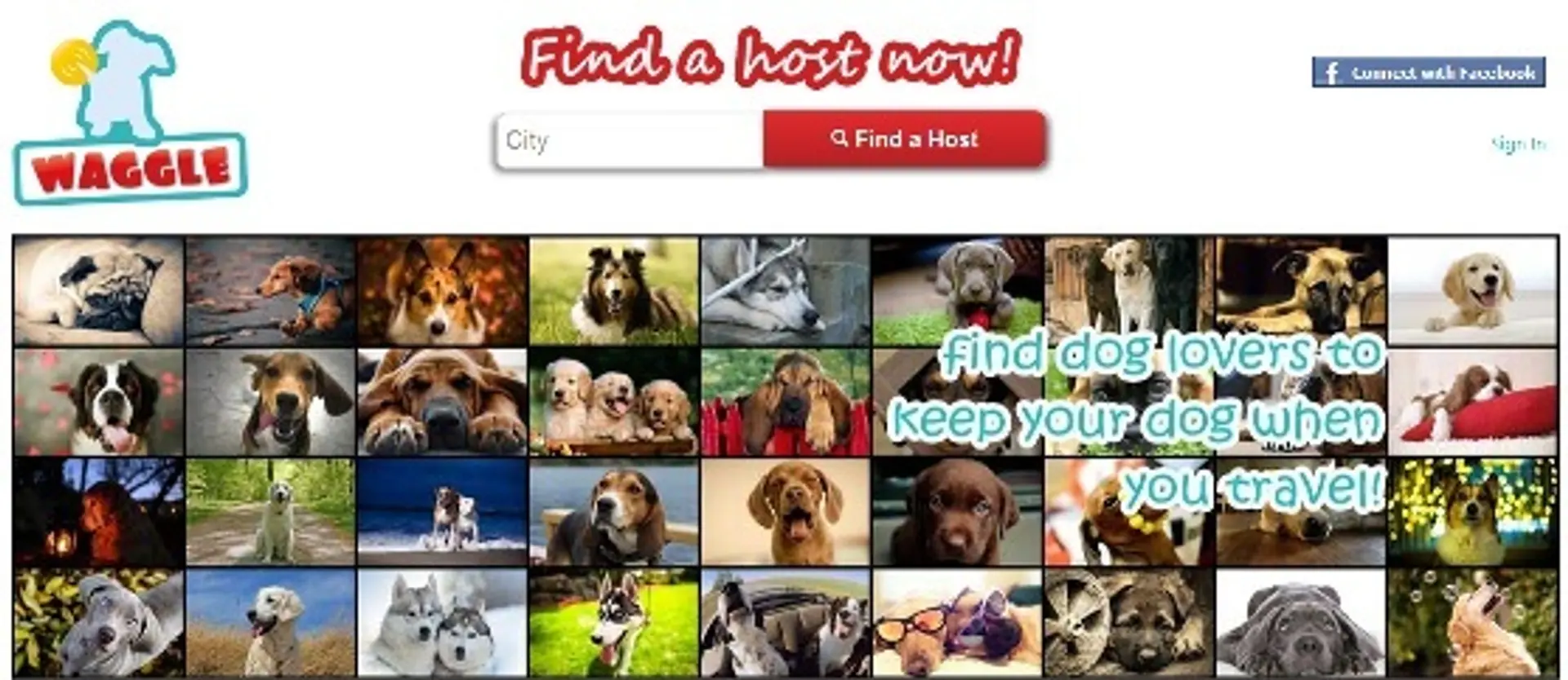 Find a safe home for your pet when you are away, through Waggle.in