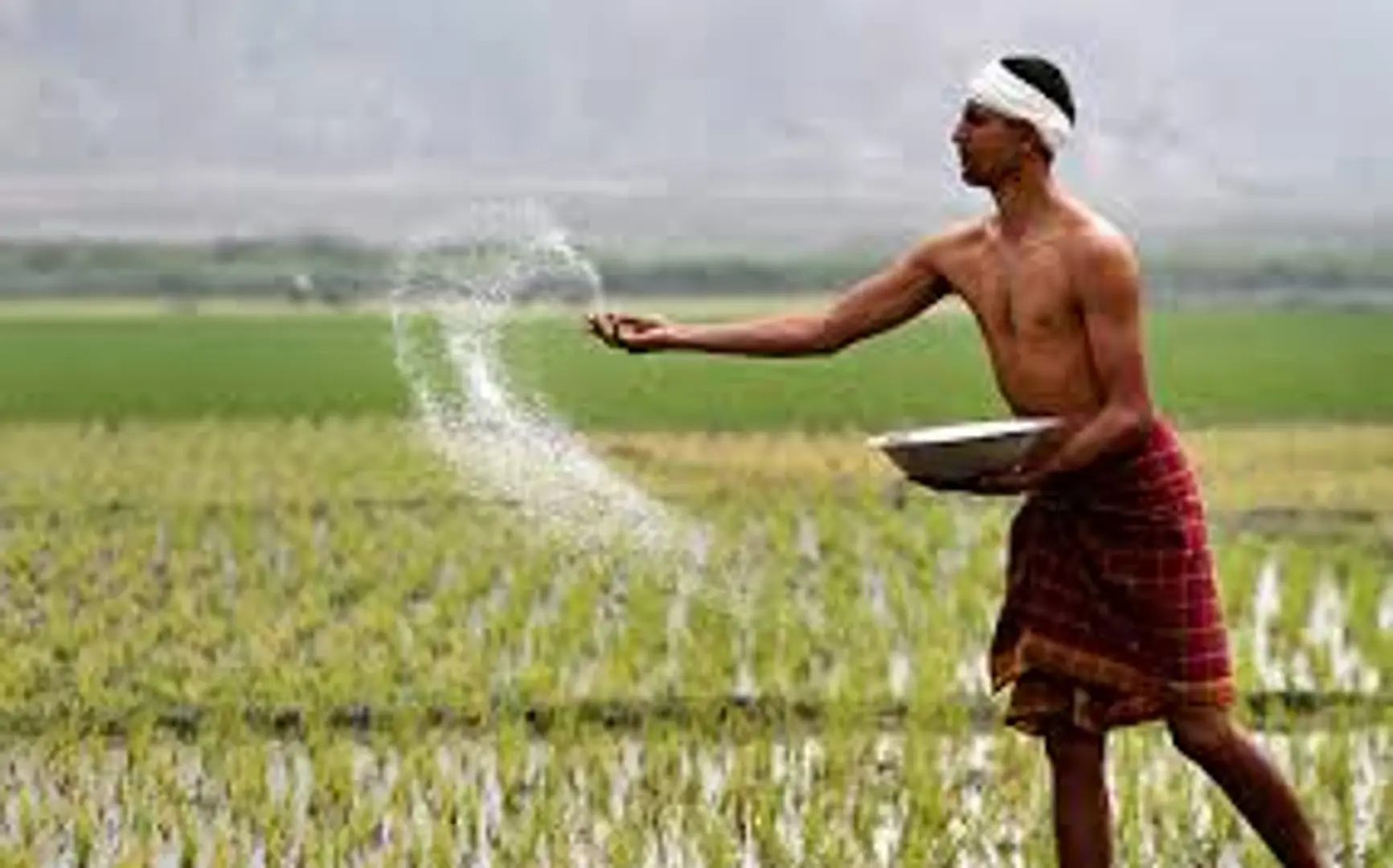 Impact investment funds for agri-focused social ventures in India