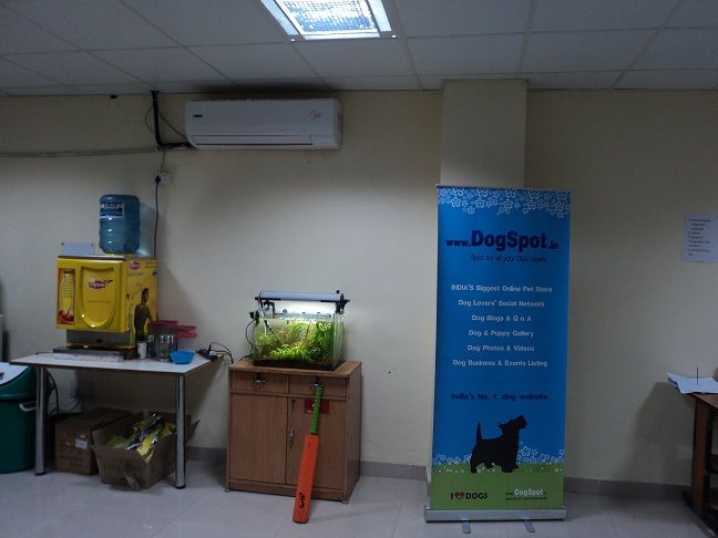 India Quotient backed DogSpot launches FishSpot.in for Aquarium Hobbyists