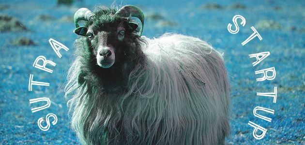 Sheep, Sutras and Startups: Three new books experiment with innovation stories