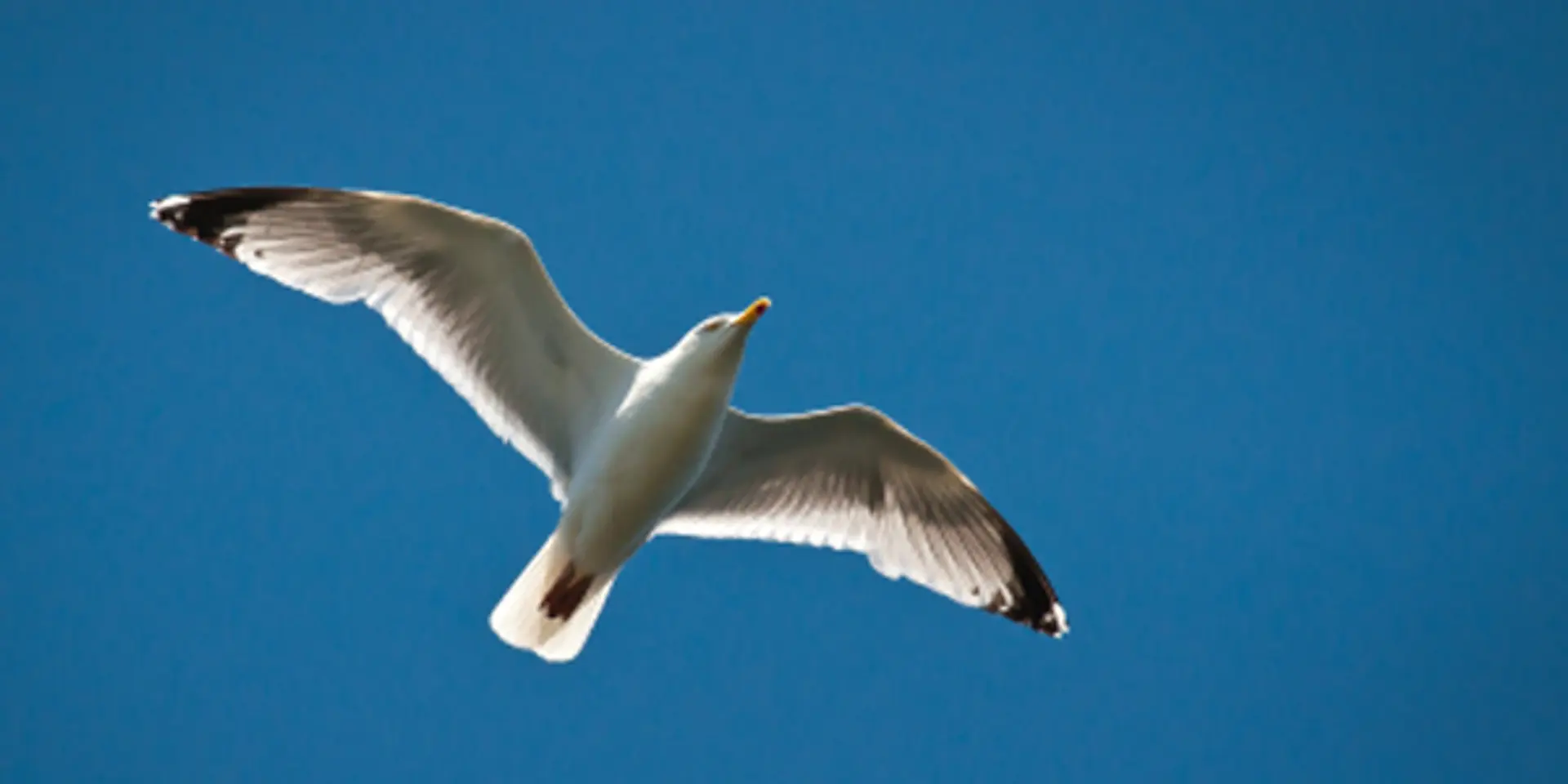 Fear, failure, and entrepreneurship