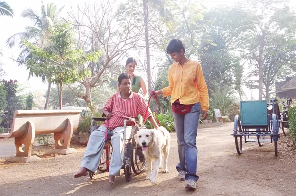 Animal_Angels