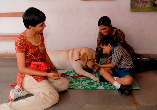 How pet dogs can improve healing through animal-assisted therapy: the story of Animal Angels