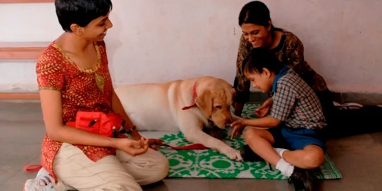 How pet dogs can improve healing through animal-assisted therapy: the story  of Animal Angels