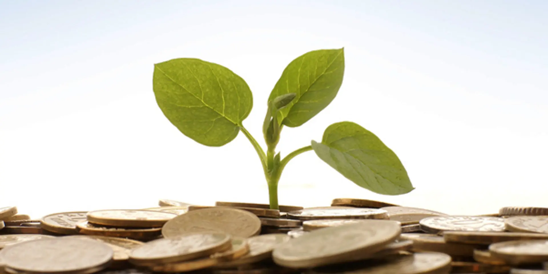 Cloud-based inventory management startup Browntape raises close to $1 M from Seedfund & Krishnan Ganesh