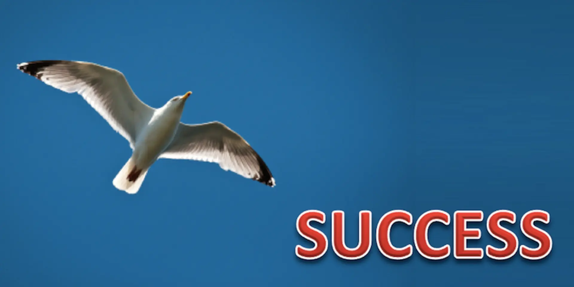 Do you have the key to success?