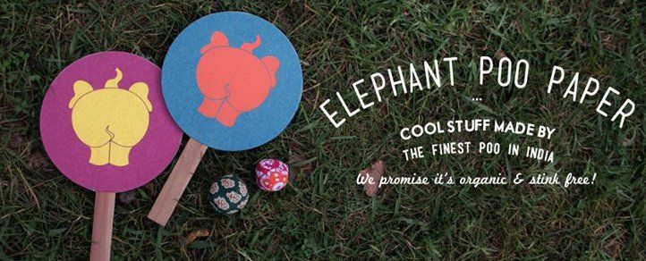 [YS Lounge] Making the most of elephant poop- Haathi Chaap
