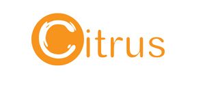 With $5.5 million series B funding, Citrus Pay gears to move to the next level