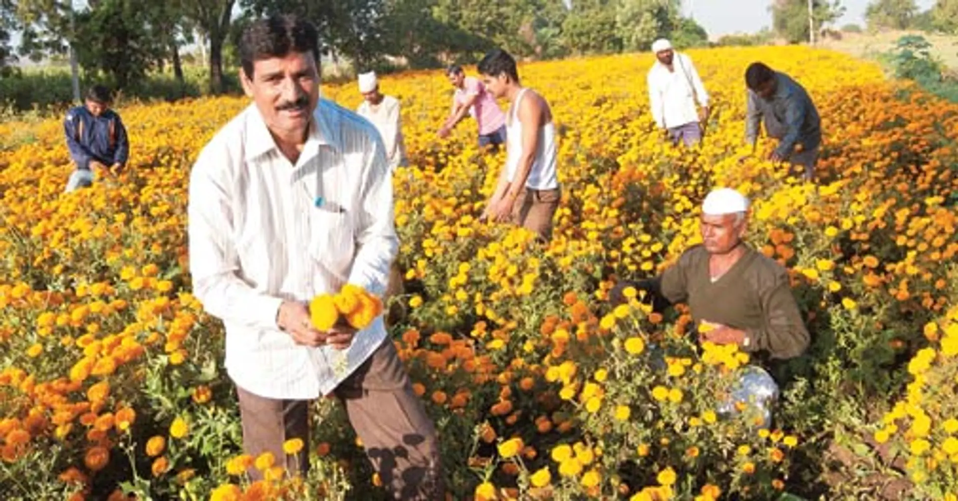 6 lessons from changemaker Popatrao Pawar for rural India