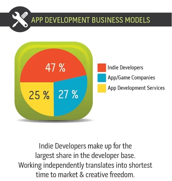 Developer Survey Infographic v2